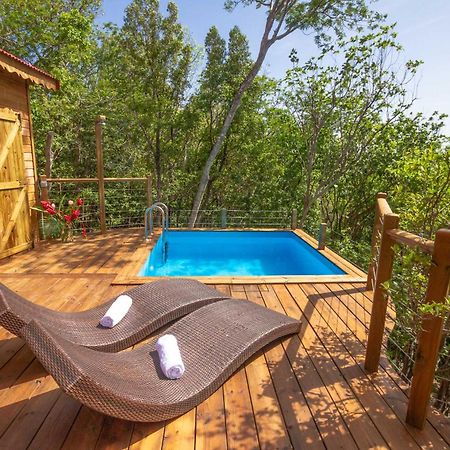 Au Jardin Des Colibris Ecolodge&Spa Deshaies Buitenkant foto