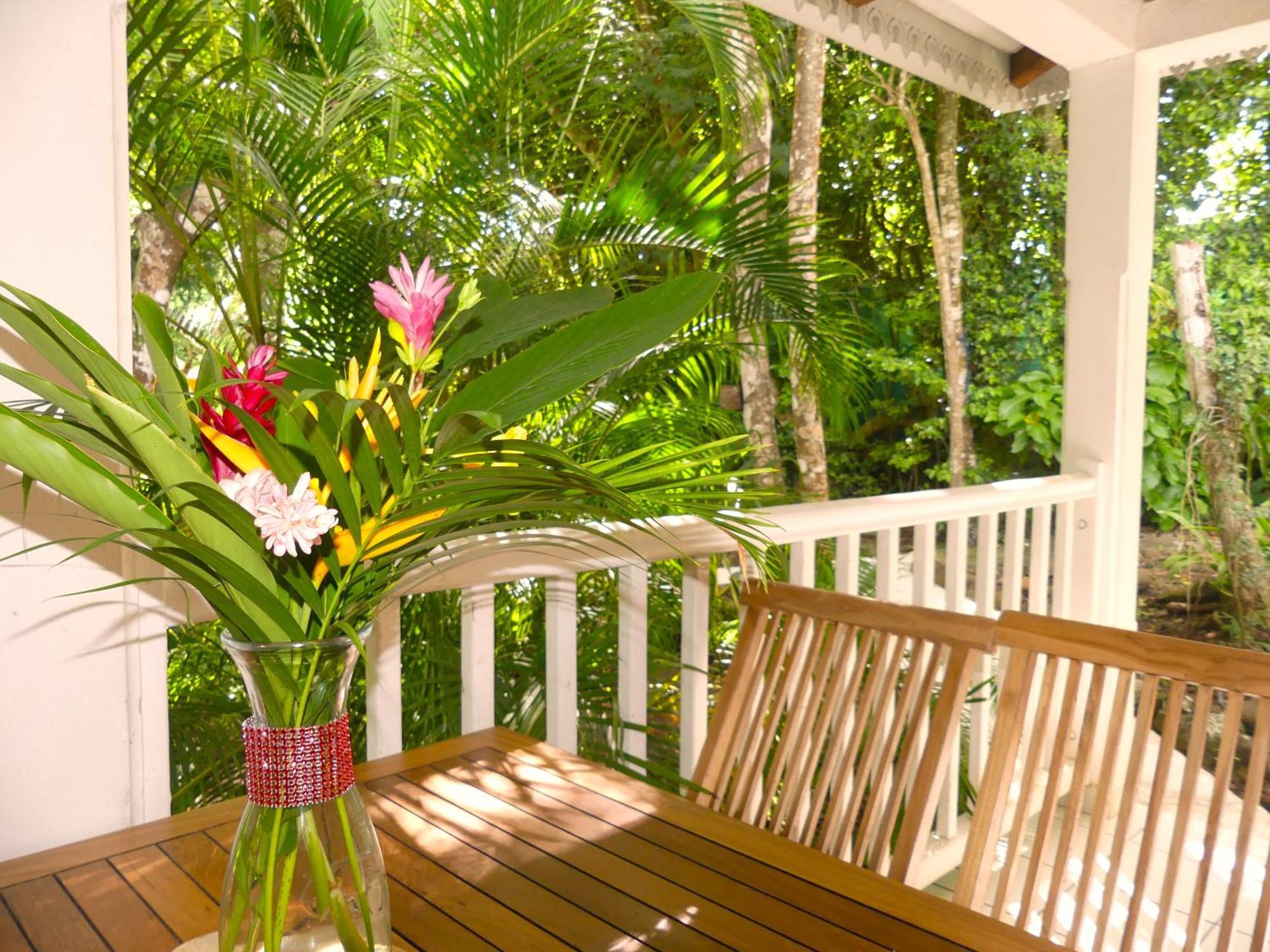 Au Jardin Des Colibris Ecolodge&Spa Deshaies Buitenkant foto