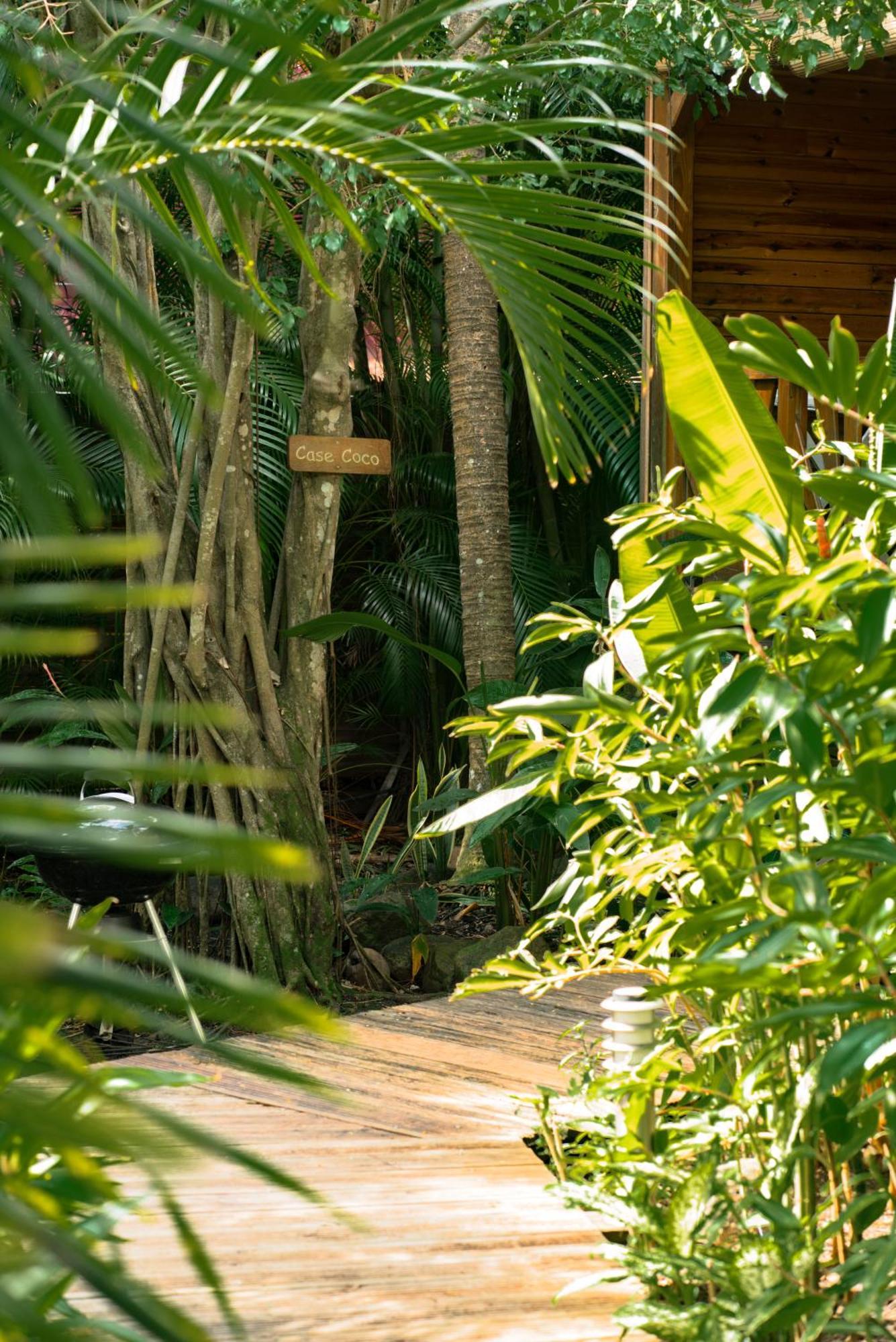 Au Jardin Des Colibris Ecolodge&Spa Deshaies Buitenkant foto