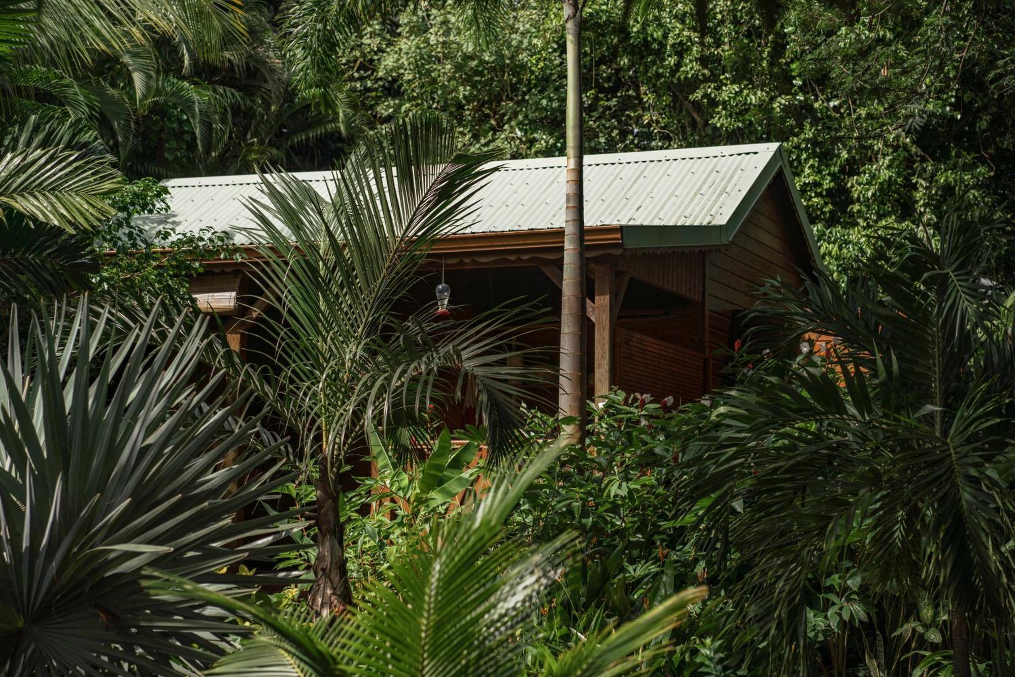 Au Jardin Des Colibris Ecolodge&Spa Deshaies Buitenkant foto