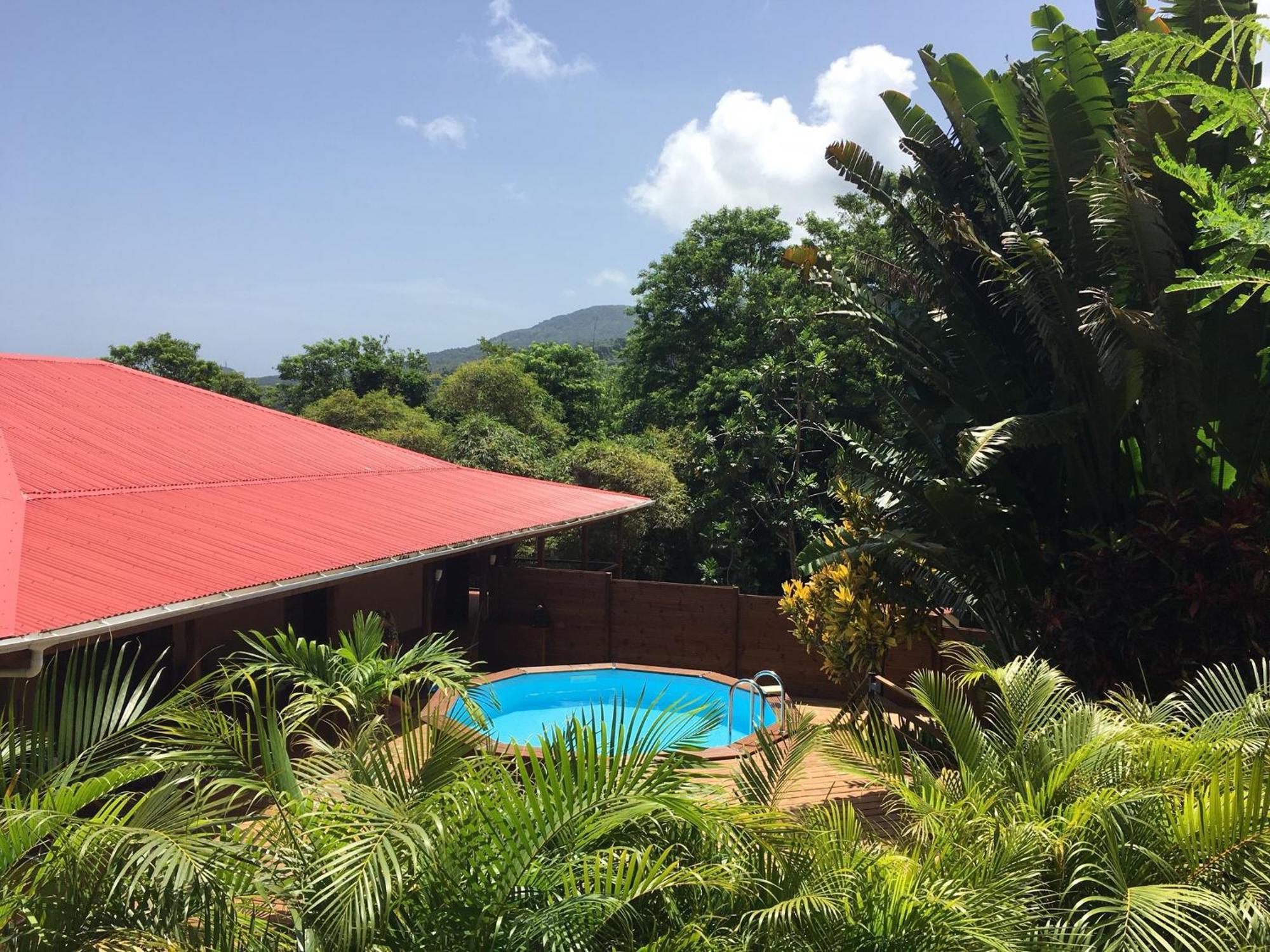 Au Jardin Des Colibris Ecolodge&Spa Deshaies Buitenkant foto