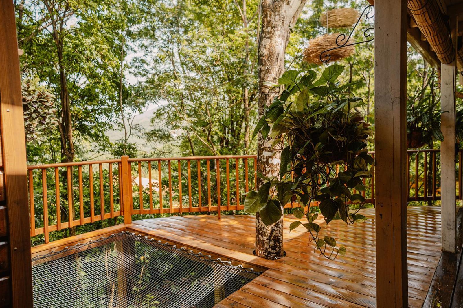 Au Jardin Des Colibris Ecolodge&Spa Deshaies Buitenkant foto