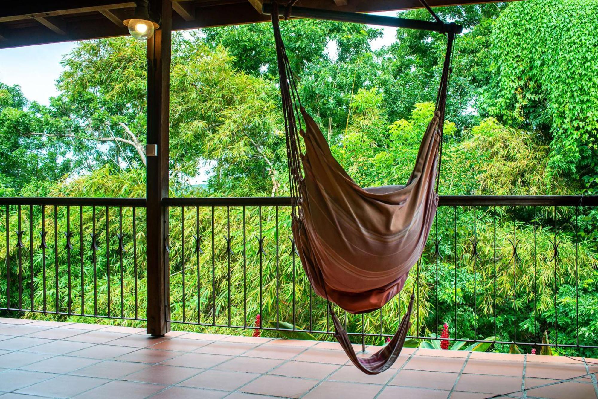 Au Jardin Des Colibris Ecolodge&Spa Deshaies Buitenkant foto