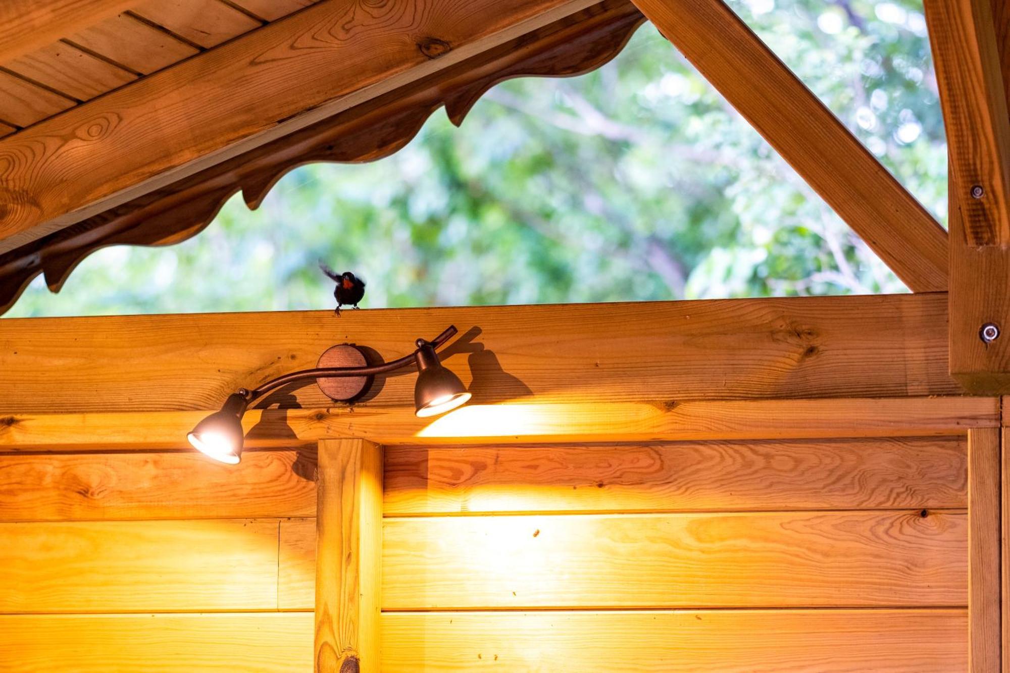 Au Jardin Des Colibris Ecolodge&Spa Deshaies Buitenkant foto