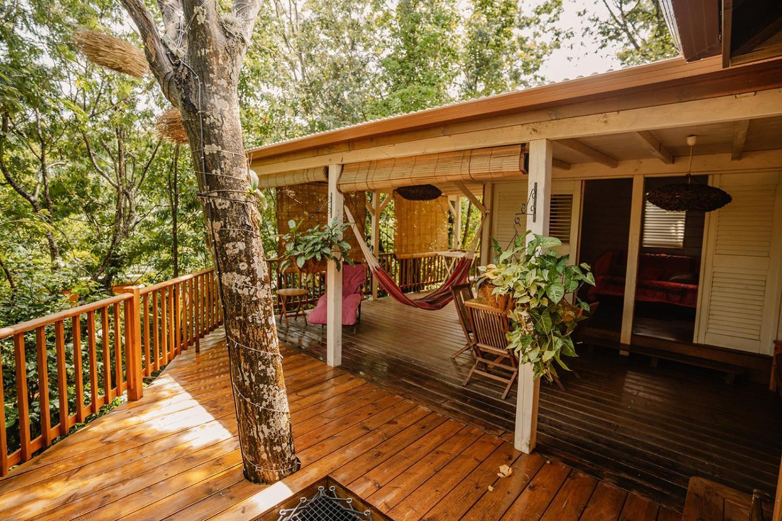 Au Jardin Des Colibris Ecolodge&Spa Deshaies Buitenkant foto