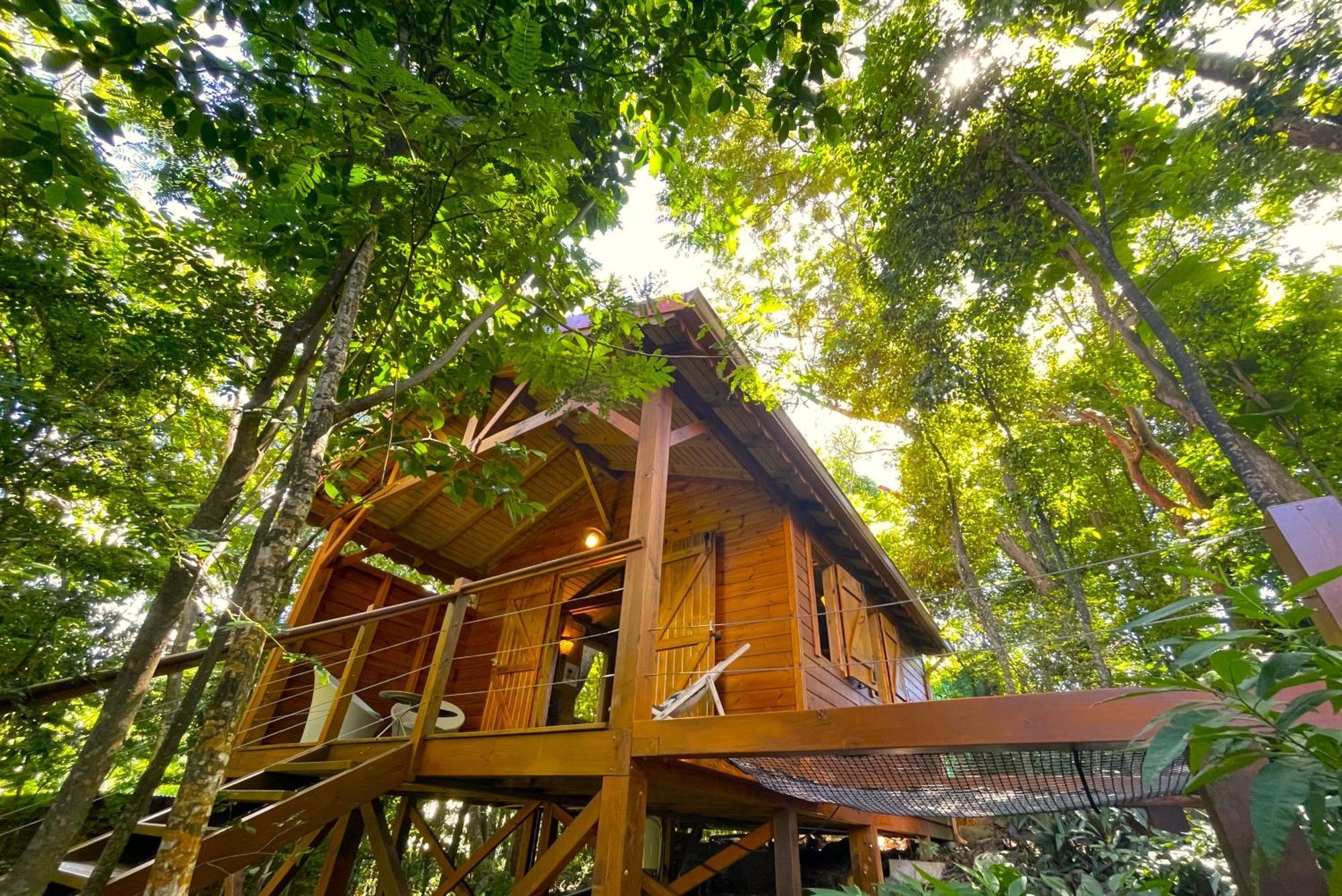 Au Jardin Des Colibris Ecolodge&Spa Deshaies Buitenkant foto