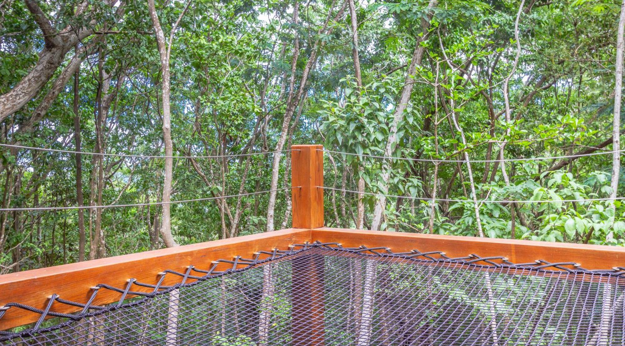 Au Jardin Des Colibris Ecolodge&Spa Deshaies Buitenkant foto