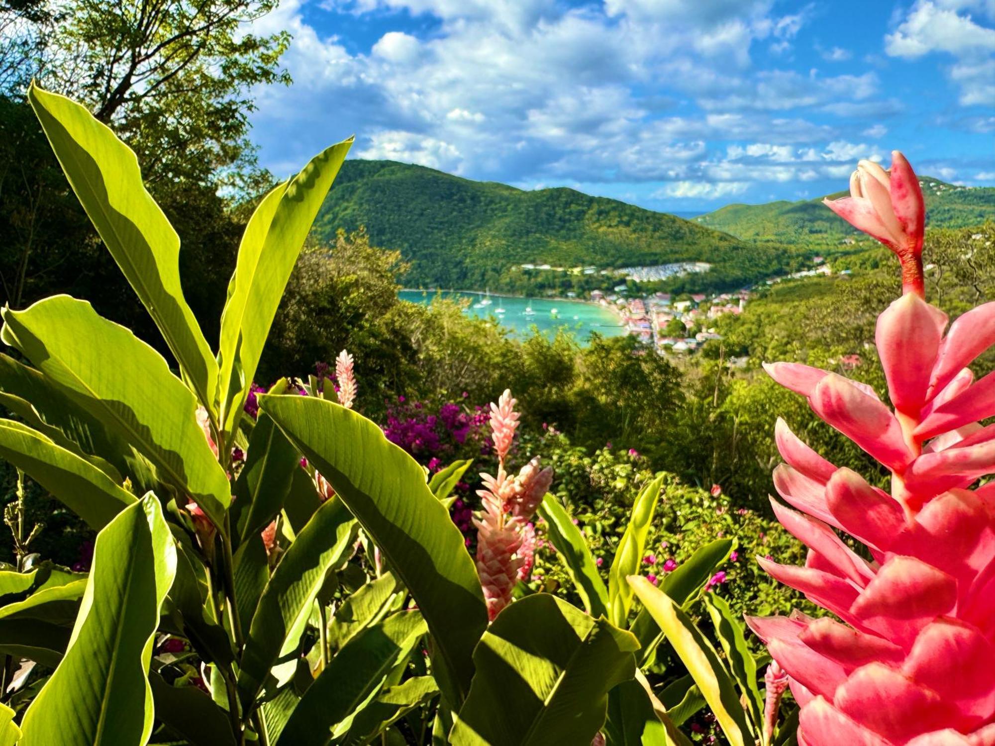 Au Jardin Des Colibris Ecolodge&Spa Deshaies Buitenkant foto